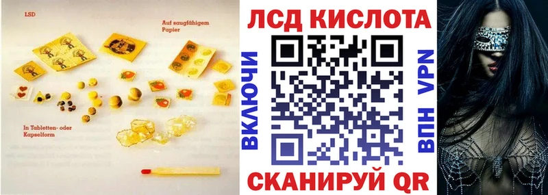 закладка  Сегежа  Лсд 25 экстази кислота 