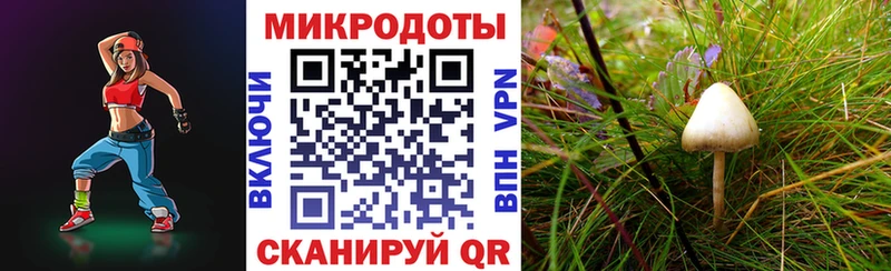купить наркотик  Сегежа  Галлюциногенные грибы Cubensis 