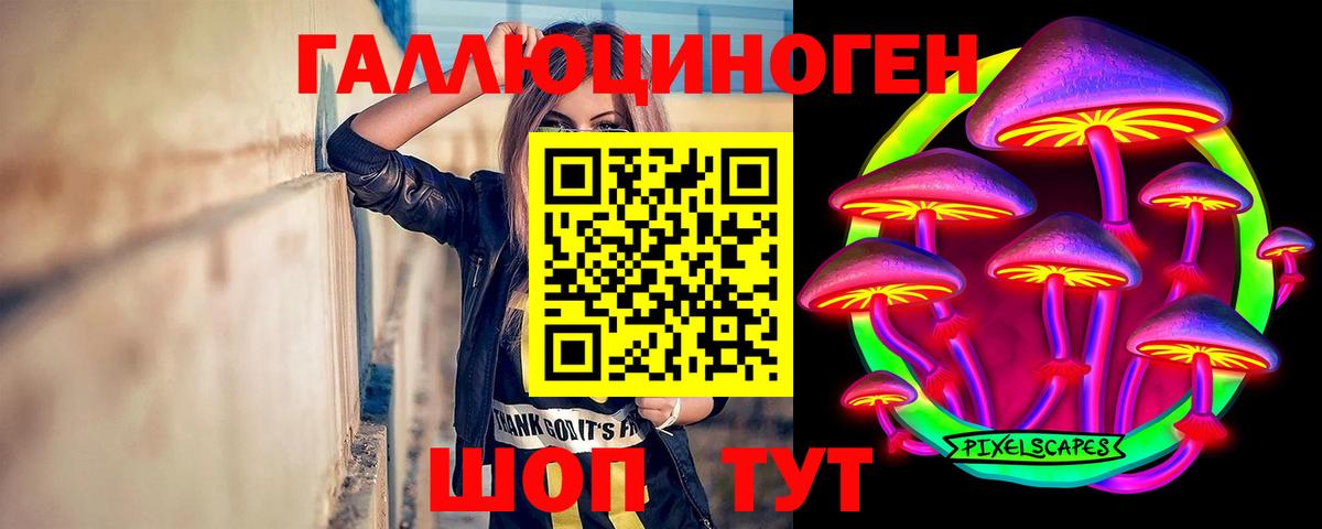 Галлюциногенные грибы Psilocybe  Галлюциногенные грибы Psilocybine cubensis  Сегежа  Вход с VPN 