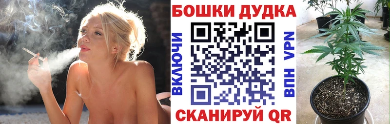 Марихуана семена  закладки  Сегежа 